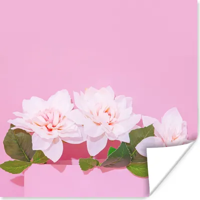 Produktbild von MuchoWow® Poster Blüte - Sommer - Rosa 75x75 cm - Wand Dekoration