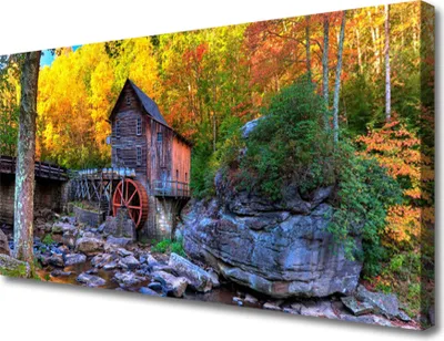 Produktbild von Tulup Leinwand-Bilder 100x50 Wandbild Canvas Kunstdruck Wald Steine Natur