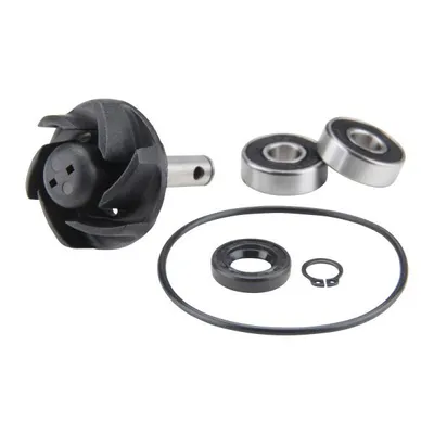 Produktbild von Wasserpumpe Reparatursatz für Minarelli LC liegend Aprilia SR Rally Yamaha Aerox MBK Nitro Malaguti F12 F15