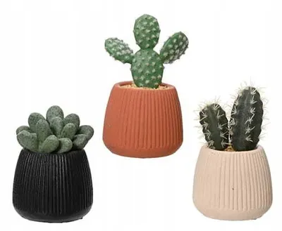 Obrázok produktu pre Kaktus v kvetináči umelá okrasná rastlina 1 kus 14x8,5 cm