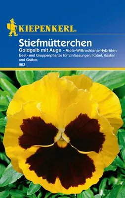 Produktbild von Stiefmütterchen Goldgelb mit Auge | Stiefmütterchensamen von Kiepenkerl