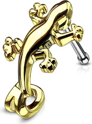 Produktbild von Nasenstecker „Eidechse“: Nasenpiercing Nasenring 316L Gold