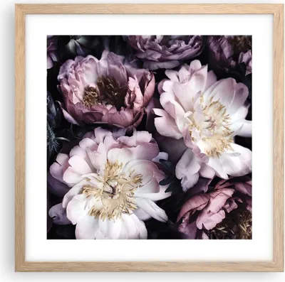 Produktbild von Gerahmtes Poster - Rahmen in heller Eiche - Pfingstrosen Veilchen Blumen - 40x40 cm - Wand Bild - Wanddeko - Wandbilder - Kunstposter - Wandposter - Bilderrahmen - Bilder - P2NAC40x40-5076