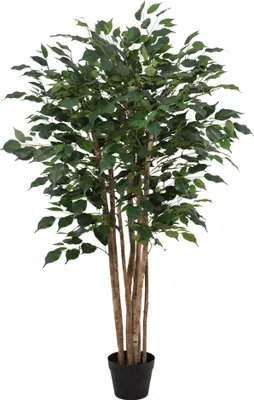 Image de Ficus benjamina artificiel 150cm - ficus benjamina artificiel - arbre en pot