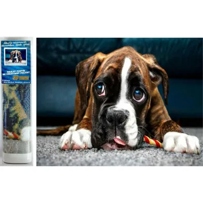 Immagine prodotto di Norimpex diamante pittura occhi di cane 30x40cm