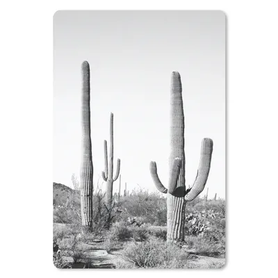 Produktbild von MuchoWow® Mauspad Mousepad Kakteen - Schwarz und weiß - Natur - Landschaft 18x27 cm - Mousepads - Maus Mat - Pad - Mausunterlage