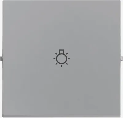 Produktbild von Legrand SEANO Wippe mit Lichtsymbol für Wechselschalter, Taster und Kreuzschalter, Schalterabdeckung, Wippenplatte, Ultraweiß, 765213