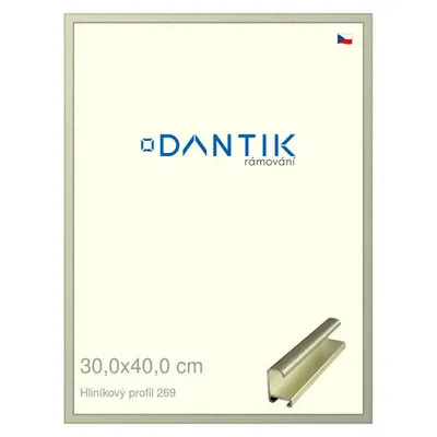 Obrázok produktu pre Rám DANTIK 30x40 | ALU profil 7269 Grey Pyrite leštený (Plexi Clear)