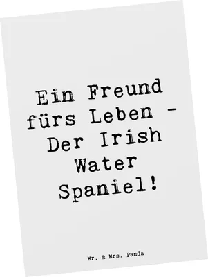 Produktbild von Mr. & Mrs. Panda Postkarte Spruch Irish Water Spaniel Freund - Weiß - Geschenk, Hund und Mensch, Fotokarte, Postkarten, Grußkarte, treue Begleiter, Hunde, Hunderasse
