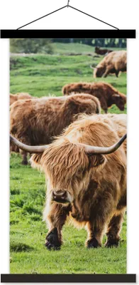 Produktbild von MuchoWow® Textilposter Schottische Hochlandrind - Tiere - Gras 60x120 cm mit schwarzem Rahmen - Magnete