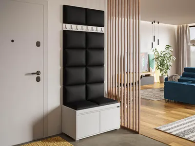 Obrázok produktu pre Predsieňová stena s nástennými čalúnenými panelmi CLENZE 8 - biela / čierna