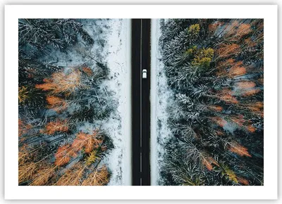 Produktbild von Poster - Poster ohne Rahmen - Wald Weg Schnee - 70x50 cm - Wand Bild - Wanddeko - Wandbilder - Kunstposter - Wandposter - Bilder - Kunstdruck - Wanddekoration - Wandbild - P2XAA70x50-4654
