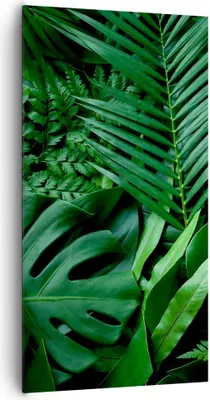Produktbild von Bild auf Leinwand - Leinwandbild - Einteilig - Exotisch Blätter Monstera - 65x120cm - Wand Bild - Wanddeko - Wandbilder - Leinwanddruck - Bilder - Wanddekoration - Leinwand bilder - PA65x120-4746