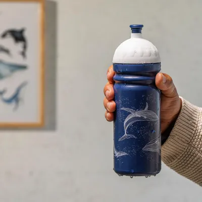 Obrázok produktu pre Fľaša R&B Veľryby 700ml
