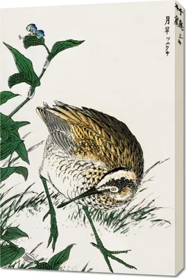 Obrázok produktu pre 60 x 90 cm Greenshank, japonská vintage maľba Kashu do obývacej izby