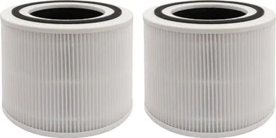 Two identical air purifier filters are shown side-by-side against a white background.