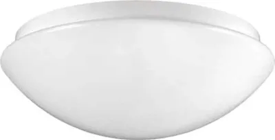 Image de RZB plafonnier/applique 221023.002