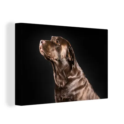 Produktbild von OneMillionCanvasses® - Leinwandbilder - 150x100 cm, Hund - Braun - Porträt, Wandbilder Kunstdruck Wanddekoration