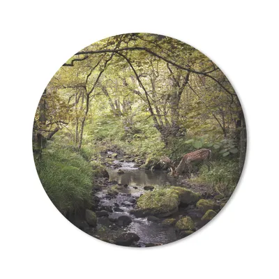 Produktbild von MuchoWow® Mauspad Mousepad Hirsch - Baum - Wald 40x40 cm - Mousepads - Maus Mat - Pad - Mausunterlage - Schreibtisch Accessoires