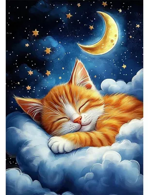 Productafbeelding van Diamond Painting Set, Oranje Kat, 5D, Volledige Diamanten, 30x40cm, voor volwassenen en beginners