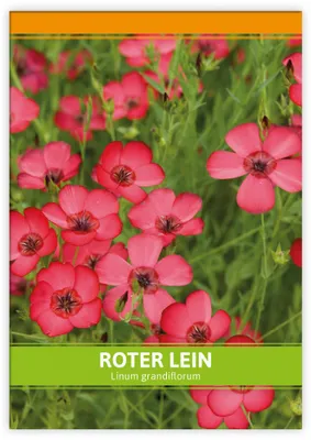 Artikelbild 1 von 'Roter Lein für Werbezwecke' aus der Kategorie Saatgut für Werbezwecke