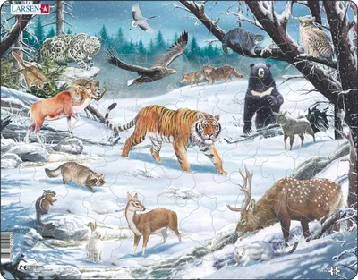 Produktbild von Larsen FH34 Winterliche Wildtiere in Sibirien und Nordostasien, Rahmenpuzzle mit 66 Teilen