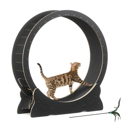 Image de Mondeer Jouet intelligent pour animaux Tapis roulant pour chats,Diamètre intérieur 100cm,Design de serrure de sécurité, Roue de défilement silencieuse,110 x 117 x 36CM Noir