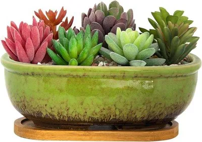 Image de Pot rectangulaire en céramique de 20 cm pour plantes succulentes
