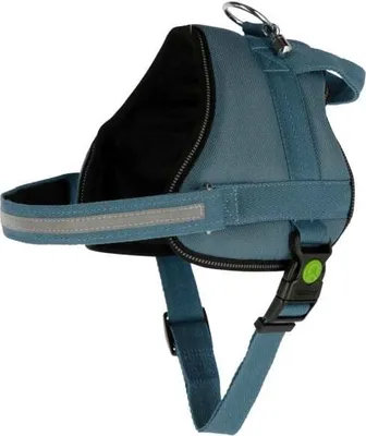Produktbild von Kerbl Maestro 2.0 Gurtzeug Grün,Blau 38 mm x 83-113 cm Grün,Blau 38 mm x 83-113 cm