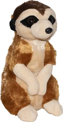 A stuffed meerkat toy is shown sitting upright against a white background.