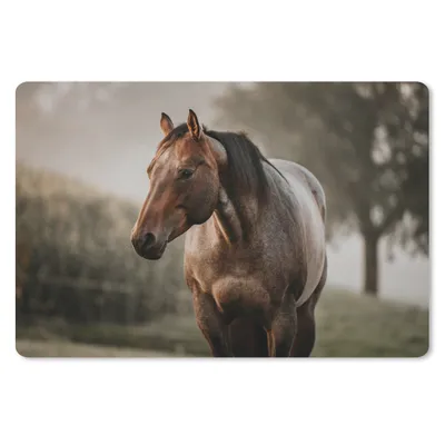 Produktbild von MuchoWow® Schreibtischunterlage Pferd - Licht - Wald 60x40 cm - XXL Mauspad - Großes Mauspad