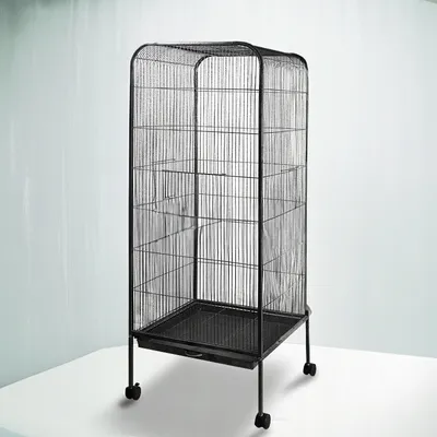 A tall, black bird cage with a tray at the bottom and wheels, set against a light gray and white background.