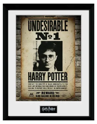 Produktbild von GB eye Undesirable No 1, Film & Fernsehen, 1 Stück(e), HARRY POTTER, Rechteck, Junge/Mädchen, Mehrfarbig