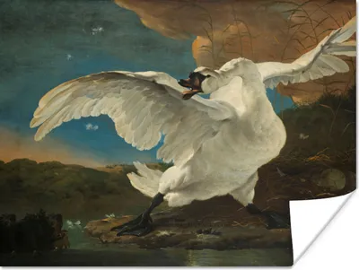 Produktbild von MuchoWow® Poster Schwan - Alte Meister - Jan Asselijn 40x30 cm - Plakate für die Wände - Poster Wohnzimmer