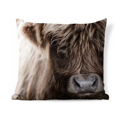 Obrázek produktu pro MuchoWow® Vnější polštář - Skotský horal - Skotská kráva -45x45 cm- Odolnost proti povětrnostním vlivům - polštář do obývacího pokoje
