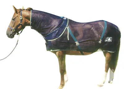 Produktbild von Fliegennetzdecke Protector, Gr. 135 cm *** in 135