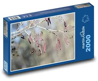 Zdjęcie produktu dla martinpuzzle - Puzzle 2000 - Gałęzie - jesień, drzewo