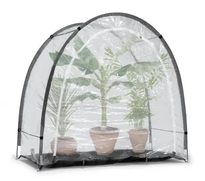 Produktbild von BioGreen Überwinterungszelt Arctic in Anthrazit L 186 x B 84 x H 175 cm