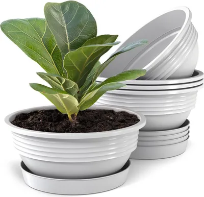 Produktbild von Plastard Blumenschale 5er Set Weiss Ø 32 cm mit Untersetzer - Pflanzschale