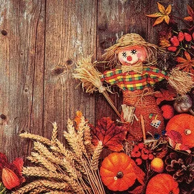 Produktbild von RP 20 Servietten Scarecrow - Herbsterzeugnisse auf Holz 33x33cm
