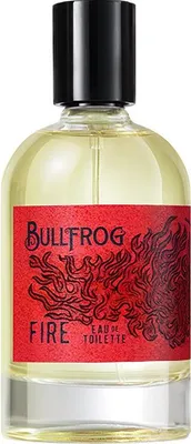 Image de Eau de Toilette Elements Fire 100 ml