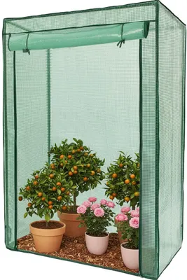 Produktbild von PROREGAL Gewächshaus, 100x50x150cm, grün
