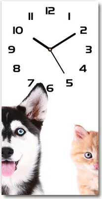Produktbild von Wanduhr aus Glas – 30x60 cm - Glasbild - Glasuhr - Gehärtetes Glas -Hund und Katze