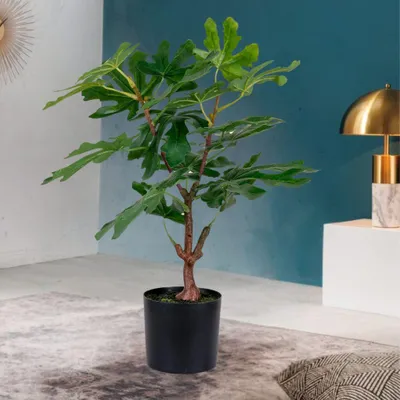 Produktbild von Künstliche Pflanze FEIGENBAUM ca. H50cm Feige Ficus