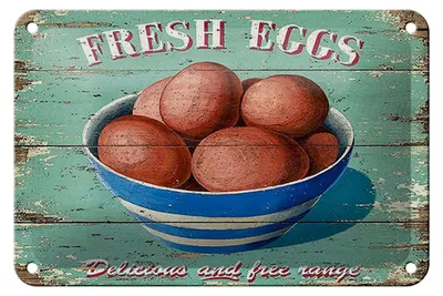 Produktbild von Blechschild Retro 18x12cm fresh eggs Frische Eier