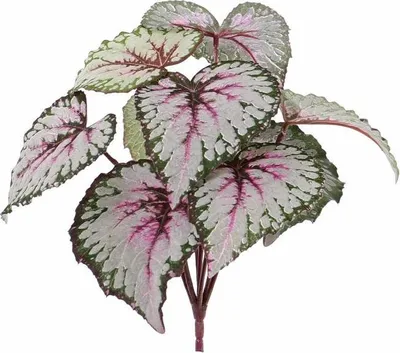 Produktbild von artplants.de Kunstpflanze Blattbegonie Katrice auf Steckstab, violett - grün, 25cm - Deko Pflanze