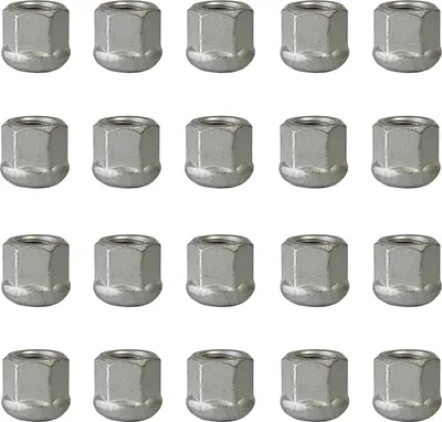 Productafbeelding van 20 wielmoeren M16x1,5 met kogeldop, zilverkleurig, 25 mm | sleutelmaat 24 mm, compatibel met: Ford Transit I 66 RWD, Transit I 71 RWD, Transit II 76 RWD, Transit II 84 RWD, Transit III 86 RWD, Transit III 92 RWD