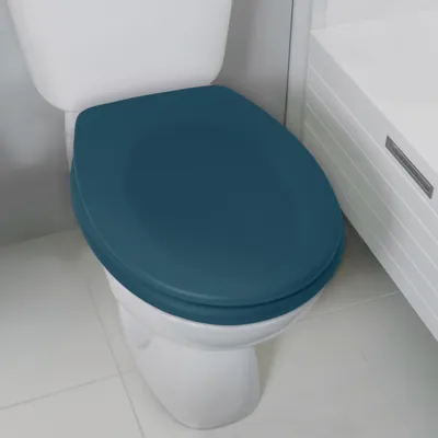 Produktbild von Spirella 10.21301, Verlängert, Harter Toilettensitz, Farbe Petrol, ABS, Duroplast, 371 mm, 455 mm