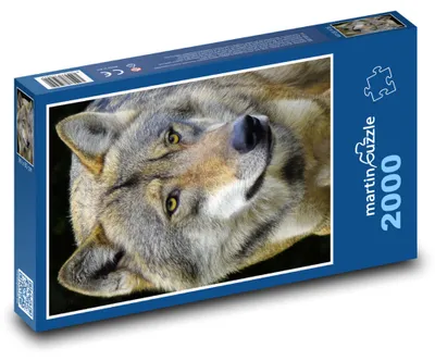 Obrázek produktu pro martinpuzzle - Puzzle 2000 - Vlk