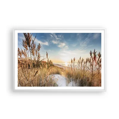 Produktbild von Gerahmtes Poster - Weißer Rahmen - Ähren Küste Sonne - 91,5x61 cm - Wand Bild - Wanddeko - Wandbilder - Kunstposter - Wandposter - Bilderrahmen - Bilder - Kunstdruck - Wanddekoration - P2WAA91x61-4653